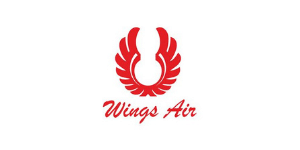 Wings air