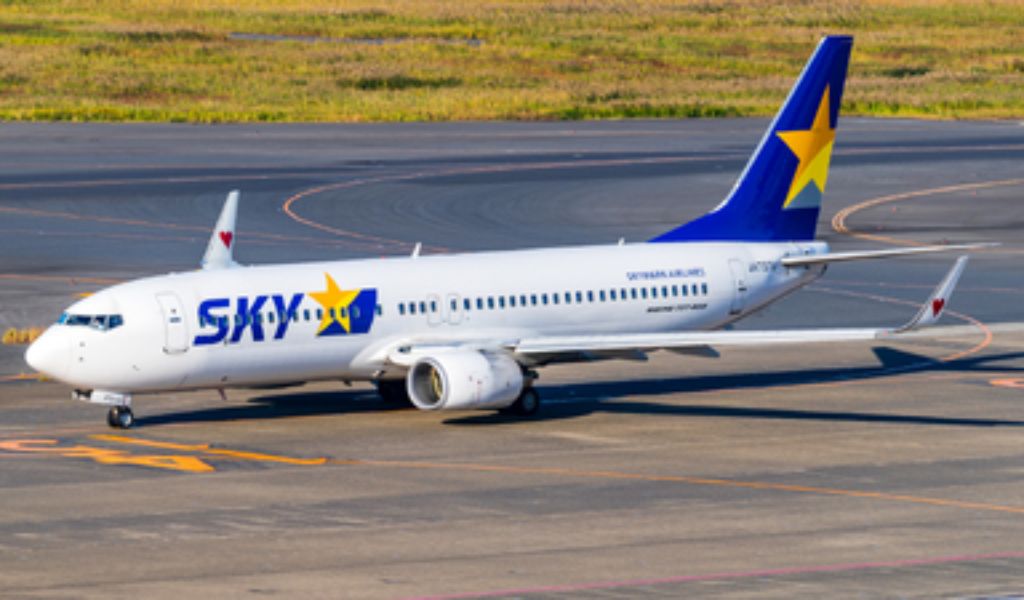 skymark aircraft